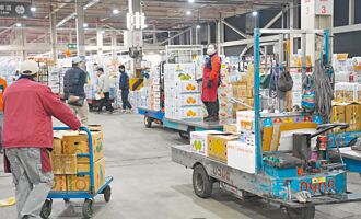 北市 供貨不足 蔬菜均價飆破51元／公斤