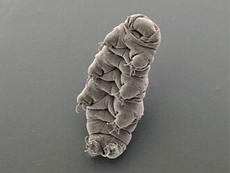 中國黑科技 西方看不到尾燈