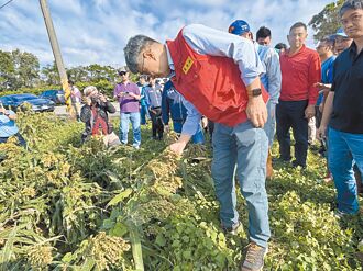 視察桃園農損 農業部長：年底檢討救助金