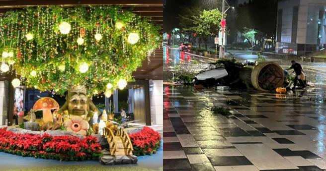 家属指控员工因怕波及无辜路人，自己连同大树爷爷被强风吹上天重摔在地。（图／ 翻摄Threads／@missball22）
