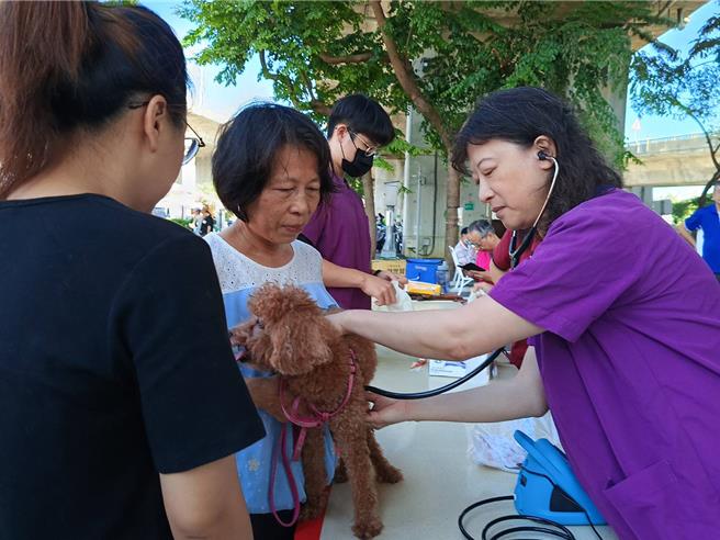 彰化市公所举办「毛孩Party」，有兽医师宠物健诊。（叶静美摄）