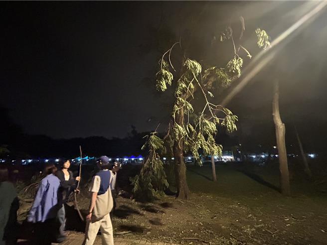 台北市文化局舉辦的2024白晝之夜3日凌晨落幕，但因康芮颱風襲台，導致大安森林公園內滿是殘枝敗葉，有不少民眾對於這些殘枝敗葉感興趣的程度，甚至高過於活動本身的藝術創作，紛紛和殘枝敗葉拍照打卡。（台北市議員顏若芳提供／劉彥宜台北傳真）