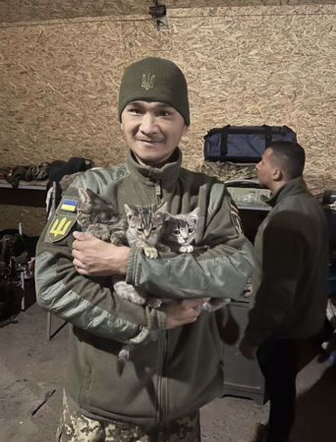 吴忠达曾在战地收容流浪猫，是温暖的台湾猫咪战士。（图／翻摄自黄春生牧师脸书） 