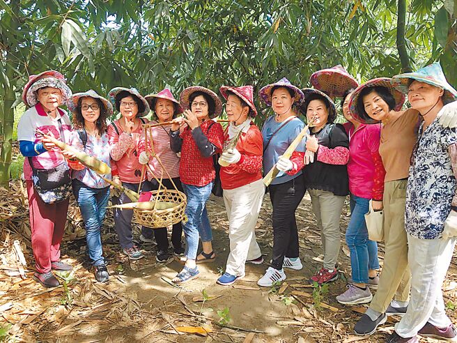 雲林縣古坑鄉大埔社區盛產麻竹筍，社區推出割筍體驗，好玩又有教育意義，十分受歡迎。（古坑鄉大埔社區提供／周麗蘭雲林傳真）