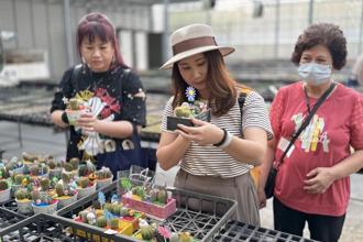 田尾花鄉小旅行：花卉、美食、手作體驗 深入徜徉花海之美