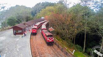 颱風過後全台森林遊樂區現況曝光 開、休園看這邊