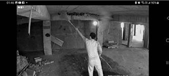 彰化男拿掃把打四面佛寺珍貴台灣葉鼻蝙蝠   農業處祭重罰