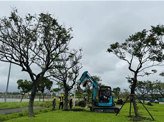 康芮吹斷宜蘭2運動公園約400棵樹 預計一周內全部修復