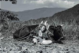 李康生主演日本電影！騎「女主角」卻失控被摔