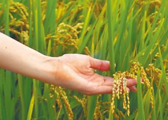 俄烏戰爭給台農的警示