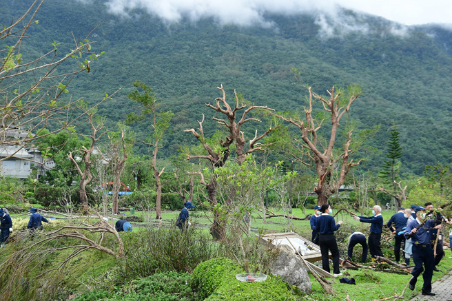 龍捲風威力強大，吹倒整排樹木，慈濟出動志工協助善後。（翻攝劉清煌臉書）