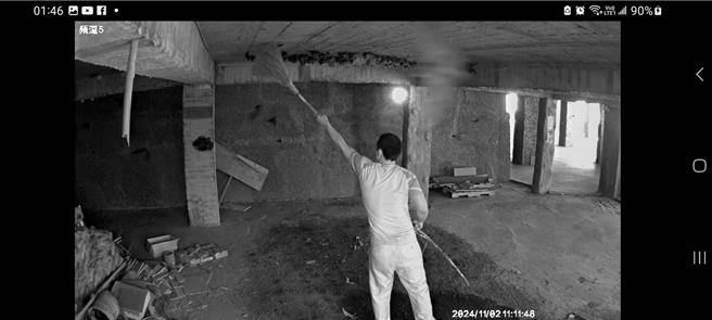 男子粗暴骚扰彰化市四面佛寺600只台湾叶鼻蝙蝠蝙蝠，有蝙蝠因此掉落地上死亡。（王远宪提供／叶静美彰化传真）