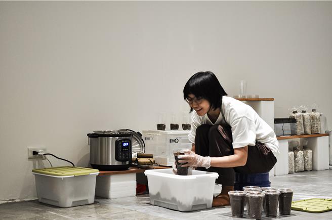 艺术家潘怡安于《显性进驻行为》展间进驻期间，填充菌丝培养土及进行灭菌作业。（新北市文化局提供）