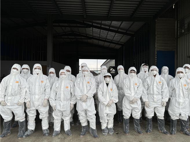 由於該場雞隻數和雞蛋眾多，家畜所動員大量人力執行撲殺消毒作業。（嘉義縣家畜疾病防治所提供／呂妍庭嘉義傳真）