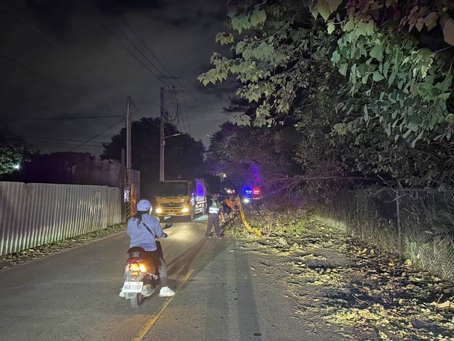 斷枝就倒在道路旁邊，雖然有圍上封鎖線，但是天色灰暗相當不明顯。（翻攝畫面）