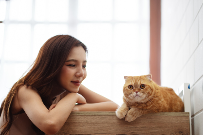 金牛、天蝎、处女3星座外表看起来平淡，其实具备令人忌惮的实力，以及相当火爆的脾气。（示意图：Shutterstock／达志）

