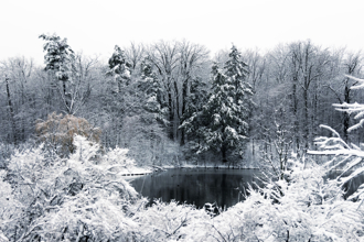 周四立冬！「青蛇年」4生肖犯沖 2生肖運勢大好