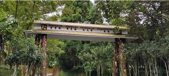 苗縣賽夏族矮靈祭11／14登場 籲參與者遵守祭儀禁忌