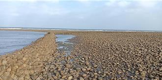 新屋蚵間石滬群不畏強颱卻遭人為破壞 協會盼桃園市府重視