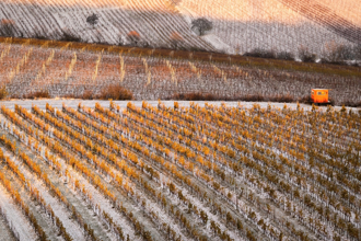 「立冬」宜忌曝  穿暖色系招好運 4生肖留意健康 