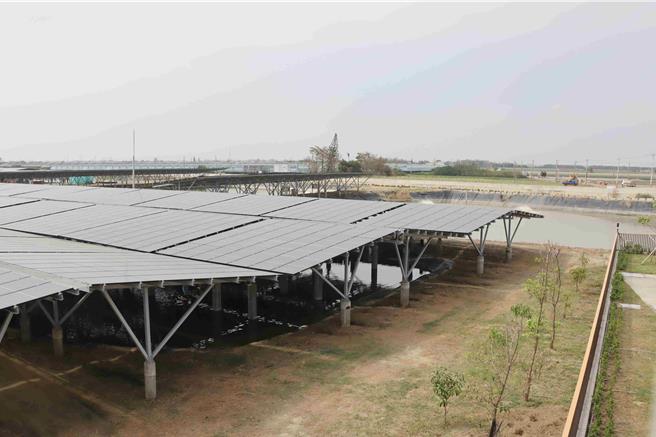 位於義竹布袋交界的台泥嘉謙綠能漁電共生一期案場A-F6區已於2022年11月全數併網發電，也有水產養殖收獲。(呂妍庭攝)