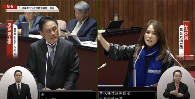 無黨籍原民立委高金素梅（右）今（5）質詢原住民委員會主委曾智勇Ljaucu‧Zingrur（右）。（摘自國會頻道）