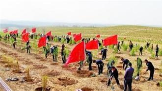 陸沙化土地面積12年淨減6500萬畝  大幅提升糧食安全保障能力