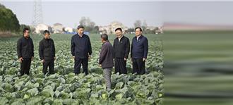 習近平考察湖北強調「農業大有可為」：加快鄉村振興