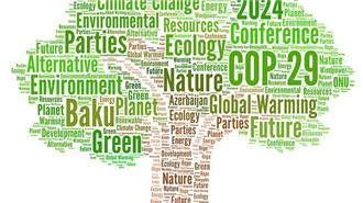 陸將在COP29推「氣變早期預警」合作 簽署三方協定