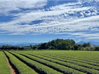 八卦山旱灌工程延宕30年有解？許淑華批中央口頭承諾不可信