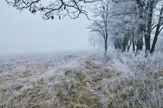 命理专家邱彦龙指出，鼠、牛、虎、兔、龙、马、鸡7生肖在立冬期间财运特别旺。（示意图：Shutterstock／达志）