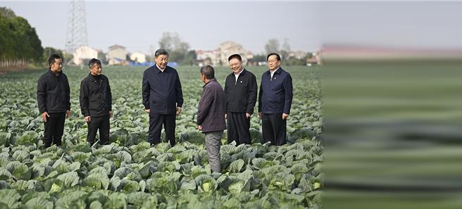 习近平：推进中国式现代化加快乡村振兴、善加研究保护秦汉简牍。（大陆央视）