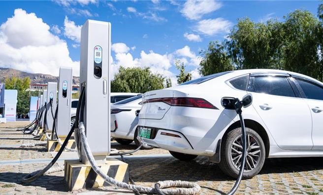 大陸工信部副部長熊繼軍6日表示，新能源汽車是全球汽車產業轉型升級的重要方向。 （摘自新華社）