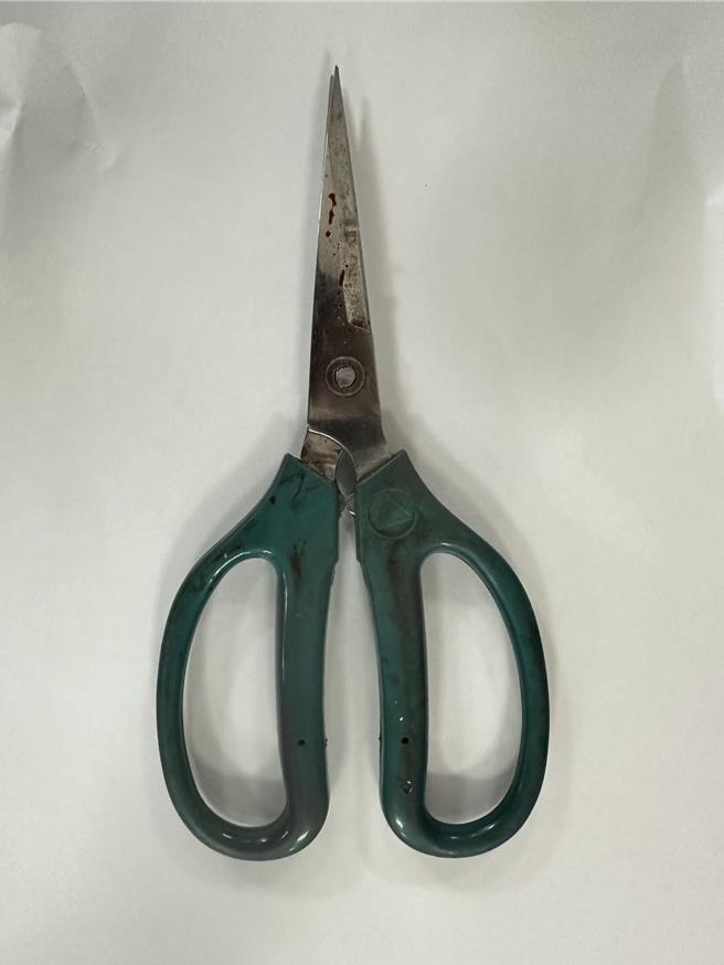 7旬婦懷疑友人害她長期失眠，上門理論時持剪刀行凶遭訴。(翻攝照片／蔡依珍桃園傳真)