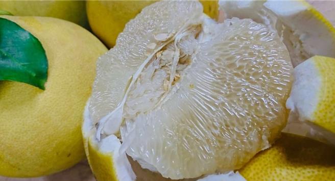 麻豆大白柚甜而多汁，放塑膠袋中常溫可保存到12月。（李佳翰提供／寶智華台南傳真）