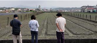 康芮後旗美地區蘿蔔、紅豆發芽率低 高雄爭取天然災害補助