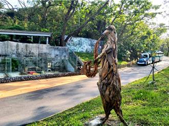 超萌2米高狐獴亮相！壽山動物園最新打卡點 喚起環保意識