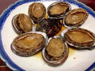 貢寮鮑養殖故事大公開 揭密東北角Q彈的美味秘訣