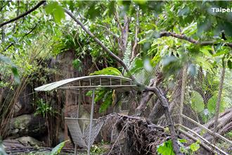 康芮重創動物園！倒85棵樹 園方：SOP再進化、防颱更嚴謹