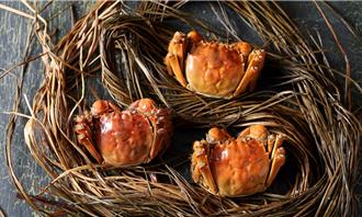 新主廚報到 亞都麗緻天香樓搶攻秋蟹商機