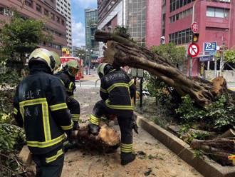 康芮災後復原最新聲量曝！台北奪冠  這都好感度提升