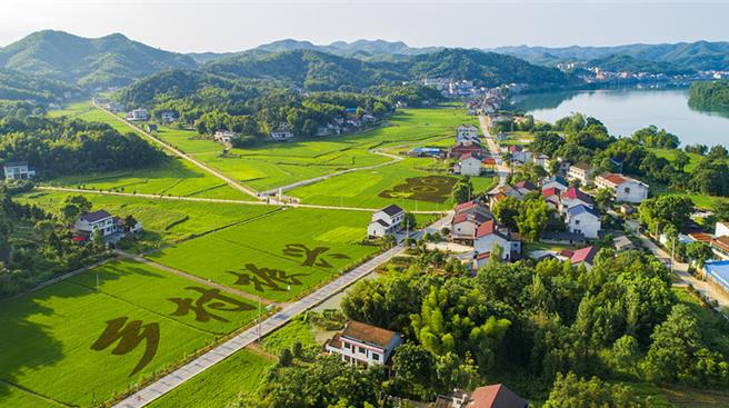 陆将加快振兴农村厕所革命、生活污水、垃圾治理改善现代生活条件。（大陆央视）