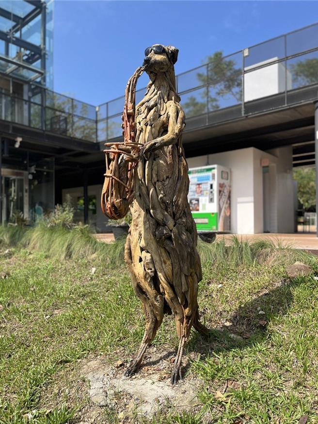 壽山動物園展示一座由漂流木打造的巨大狐獴雕塑。（高市觀光局提供）