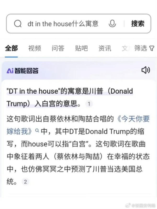 大陆网友开玩笑说，「D.T in the house」彷佛在预言川普胜选。（微博）