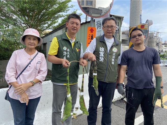 屏南立委徐富癸7日到萬丹、新園紅豆田勘災，承諾農民會督促農業部從速、從優、從簡公告紅豆救助，此外也會建議農糧署開辦「綠鬣蜥防治資材補助相關專案計畫」。（徐富癸團隊提供／謝佳潾屏東傳真）