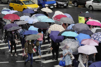 東北季風加銀杏環流 3地炸雨 下周可能還有颱風