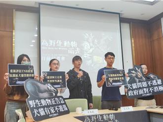 野保大遊行將登場！疾呼禁餵遊蕩動物 籲釐清飼主定義