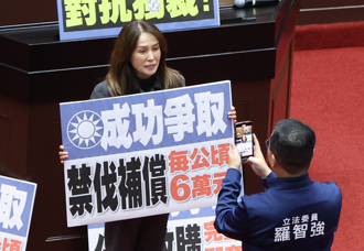 禁伐補償每公頃6萬   高金素梅喊「49天討回公道」：感謝藍白和韓國瑜