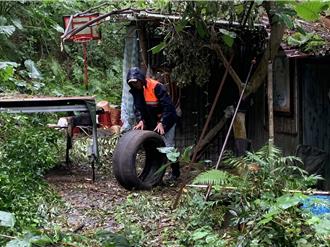 新北登革熱病例再＋1！中和67歲婦女確診 累計74例