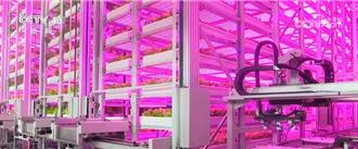 陸打造世界最先進植物工廠  設施農業添多彩菜籃子